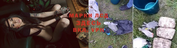 шишки Балахна