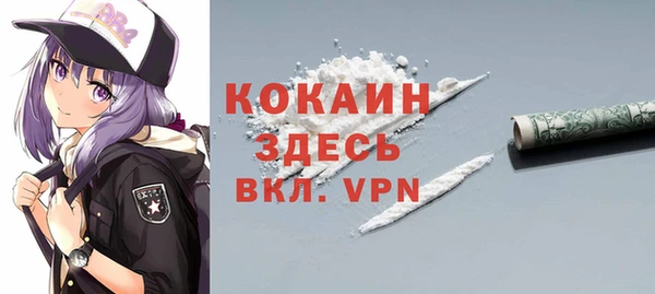 шишки Балахна