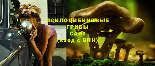 ALPHA-PVP Баксан