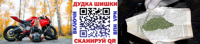 Купить  Отрадное  Бошки марихуана MAZAR 
